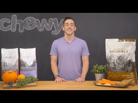 Diamond Naturals Cat Food | Chewy