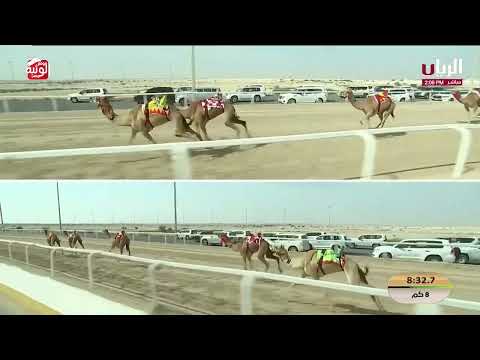 ش 5 الشلفا (الماريا) لـ الشرقي حموده الزفنة الحرسوسي 11:56:72 , مهرجان الأمير الوالد 2026/2/10 ثنايا