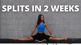SPLITS IN 2 WEEKS | DO THIS EVERYDAY TO GET YOUR SPLITS | 8 MIN SPLITS STRETCHING ROUTINE