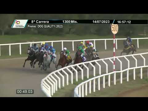 230714 C08 - LOS LOBOS (BRZ) - HIPODROMO LAS PIEDRAS