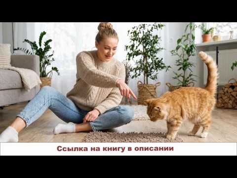video-show