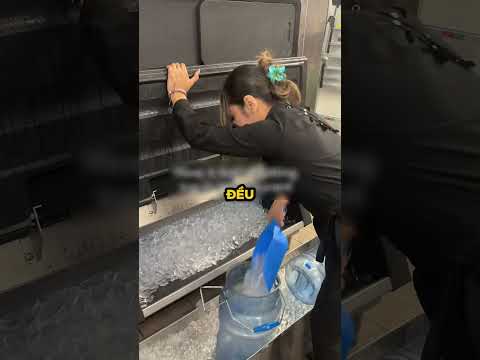 Vì Sao Nhà Hàng Nhật Cố Tình Ném Đá Xuống Sàn #shorts