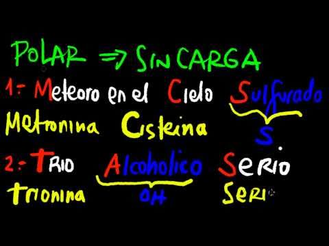 mnemonic aminoacidos hidrofilicos (pos, neg y neutros)