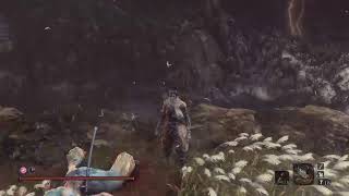 【SEKIRO】途中からだらだらpart2