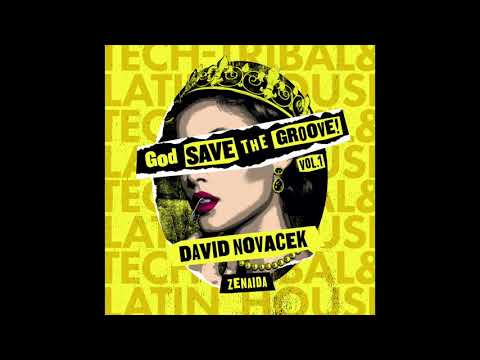 DAVID NOVACEK- Zenaida (Original Mix)