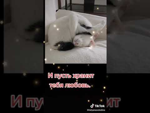 Всем спокойной ночи кто живёт в казахстане