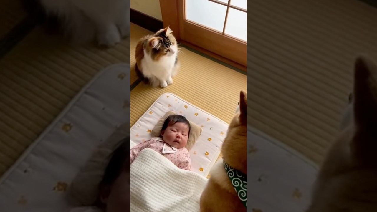 仲良くしてくださいwww #ai #犬 #shorts