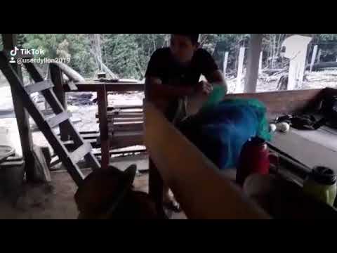 Olha à macaxeira 🤣🤣