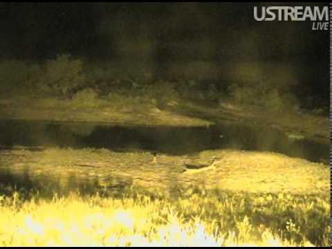 Distant Lightning Storm at Djuma Waterhole Cam February 23, 2012