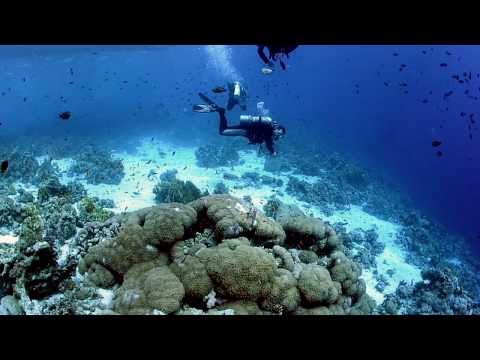 Diving Sharm el Sheik, Sharm el Sheikh - allgemein,Ägypten