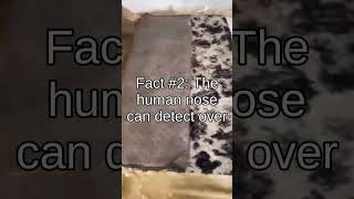 facts that will blow your mind!!