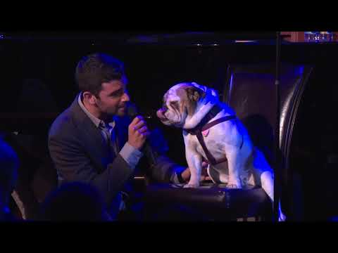 Adam Kantor (& Myrtle) - "How Do I Get You Alone" | Best in Shows 2019