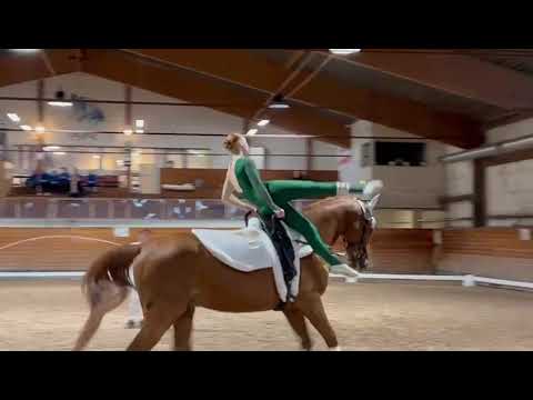 Tuva We Kür Lördag