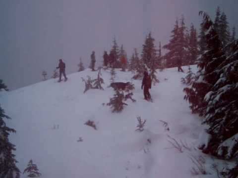 Dog Mountain Summit -snowshoers & Dog