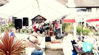 Bill's Eels - Off With Her Head Live at Weirfest 2015