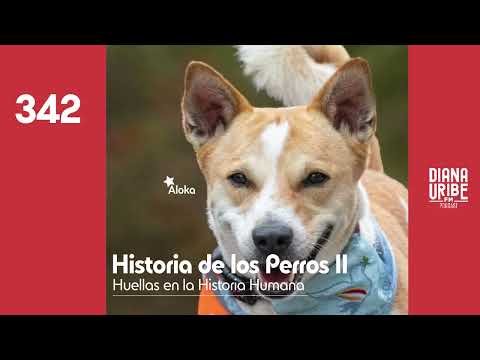 History of Dogs II: Footprints in Human History