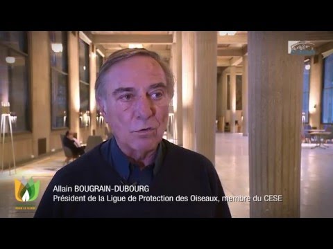 La COP 21 vue par Allain Bougrain-Dubourg - cese
