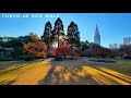 Tokyo's Most Beautiful Park? Shinjuku Gyoen Autumn Walk 🍂 4K HDR 新宿御苑