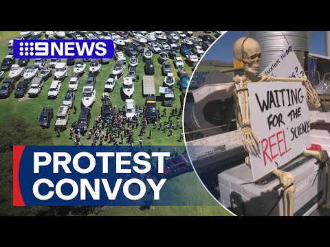 Hundreds protest WA government's fishing ban | 9 News Australia