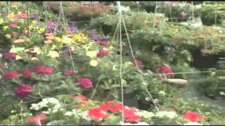 preview picture of video 'Keils Produce and Greenhouse Flower Baskets'