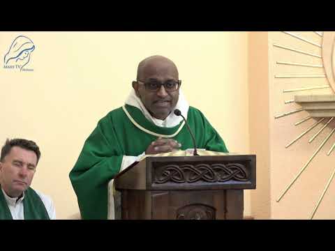 Fr. Leon Pereira | English Homily from Medjugorje | February 1, 2026 |  MaryTV