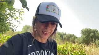 Así estoy en una finca rústica fuera de la red y lo que pasó cuando solicité luz eléctrica. Respondo