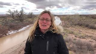 preview picture of video 'Simple living with Sophie - Petrified Forest National Park, Arizona'