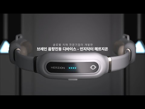 인지닥터 헤르지온