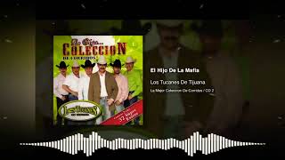 Los Tucanes de Tijuana - El Hijo de la Mafia [Oficial Audio]