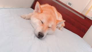 owdjwidjipawjd