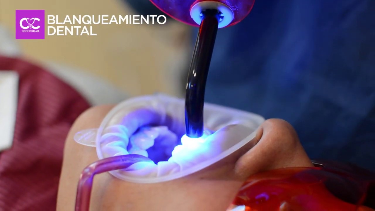 Maria Alejandra Arismendi Martinez-34