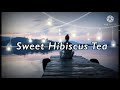 Sweet Hibiscus Tea Penelope Scott Lyrics