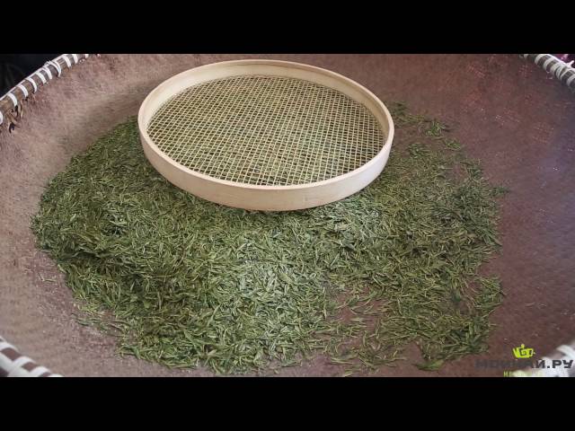 китайские зарисовки vol. 17 - Ханчжоу, деревня Лунцзин