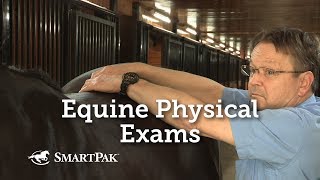 Thumbnail for The Lameness Exam, Part 1 video