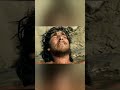 Jesus Nailed To The Cross Crucifixion Crucified Crucificado Jesus Cross Crucifixión Agony