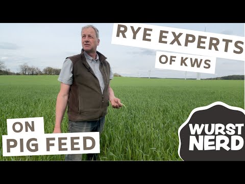 The Rye Experts of KWS - First episode in English!
