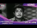 Chevvandhi Poo Chendu Pola HD Song Muradan Muthu