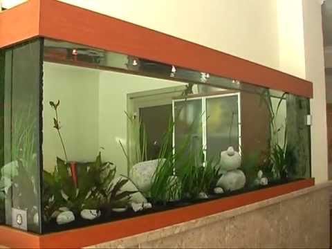 comment construire un aquarium d'eau douce