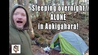 Sleeping overnight ALONE in Aokigahara forest!