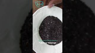 Download lagu Tukhme Rehan ki Pehchan | Tukhme Rehan vs Tukhme Malanga vs Tukhme Khurfa #Shorts mp3 Download lagu Tukhme Rehan ki Pehchan | Tukhme Rehan vs Tukhme Malanga vs Tukhme Khurfa #Shorts mp3