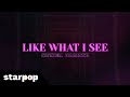 Like What I See Krystal Brimner Lyrics