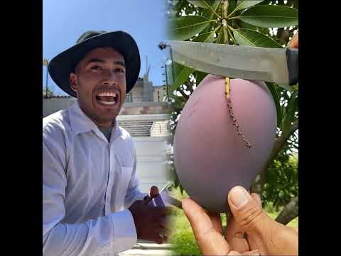 Cuando tu hijo canta canciones extrañas 🤔 #tralalerotralala🗣