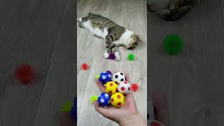 Cat Barsik Balls 🔵🟢🔴🟡 Beads Satisfying Reverse Video