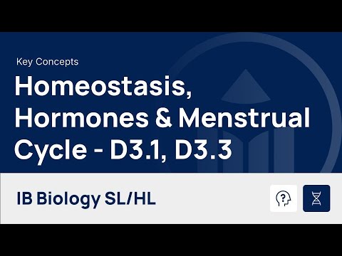 Homeostasis, Hormones, and the Menstrual Cycle [IB Biology SL/HL]