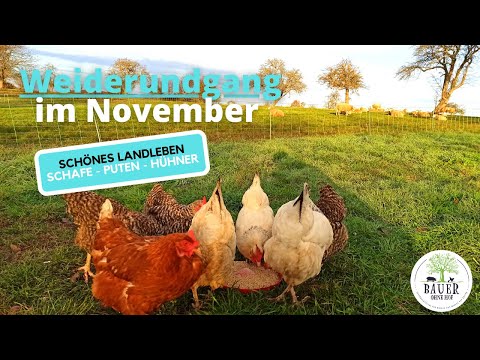 Weiderundgang im November - So schön kann Landleben sein