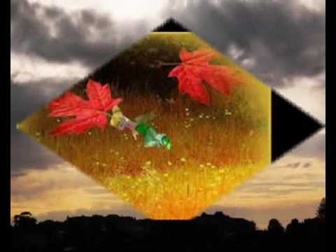 Abarax - Autumn Storm