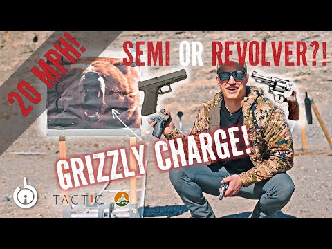 The BEST GRIZZLY BEAR Defense