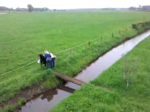 svs d2 teamuitje(code kraken op zijn best)