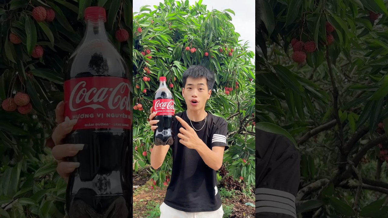 Kéo Quần Áo Em Gái