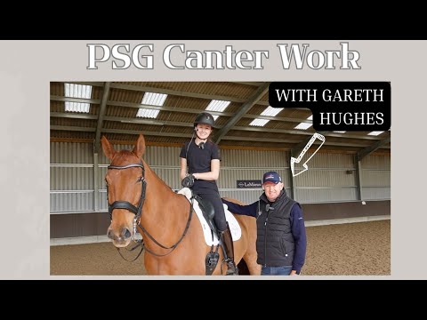 How to ride the PSG Canter Work with Gareth Hughes